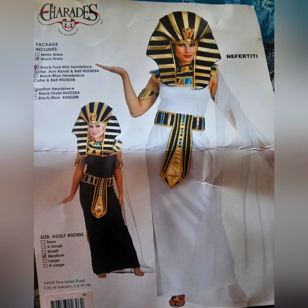 Halloween costume - Nedertiti